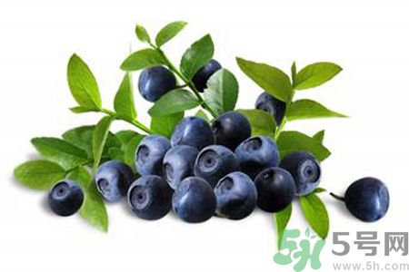 藍(lán)莓是不是發(fā)物？藍(lán)莓是發(fā)物嗎？