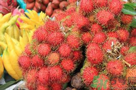 紅毛丹的殼可以吃嗎？紅毛丹的皮可以吃嗎？