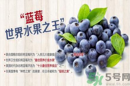 衣服上面染上了藍(lán)莓汁怎么辦？藍(lán)莓漬怎么清洗？