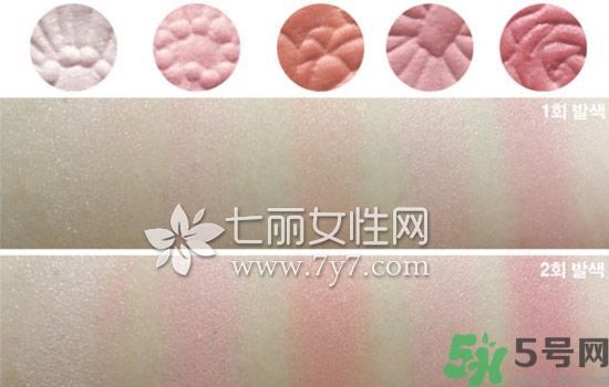canmake花瓣腮紅色號對比圖？canmake五色花瓣腮紅試色
