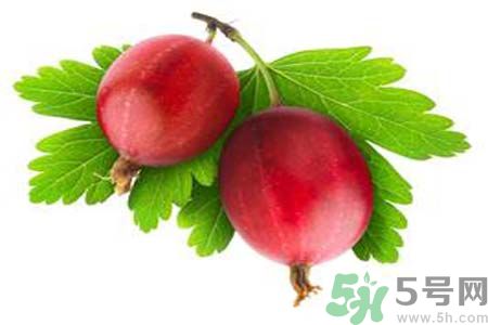 無花果酒有什么功效？無花果酒的做法