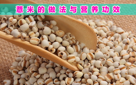 薏米煮粥前需要泡發(fā)嗎 薏米可以泡一晚上嗎