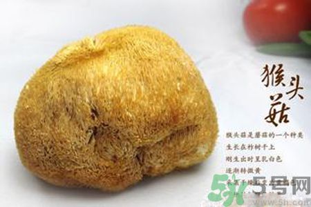 猴頭菇是酸性還是堿性？猴頭菇是堿性嗎？
