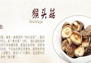  哺乳期可以吃猴頭菇嗎？產(chǎn)婦可以吃猴頭菇嗎？