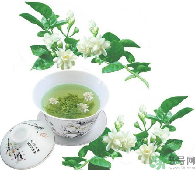 茉莉花茶是熱性還是涼性？茉莉花茶是涼性嗎？
