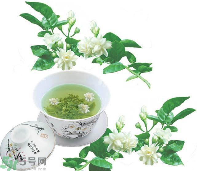 茉莉花茶可以減肥嗎？怎樣喝茉莉花茶可以減肥？