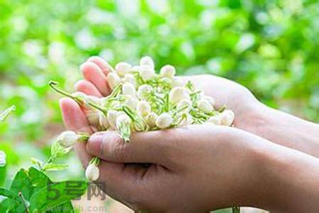 痛風可以喝茉莉花茶嗎？痛風喝茉莉花茶好嗎？