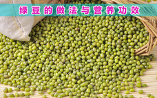 如何挑選綠豆 綠豆的形狀和顏色是什么
