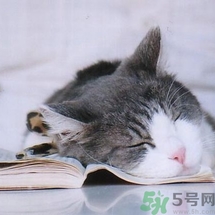如何控油？如何控油祛痘？