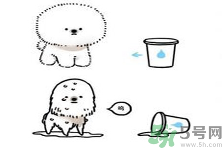 虛胖是什么意思？虛胖是胖嗎？