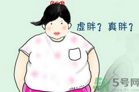 虛胖吃什么中藥？虛胖吃什么中藥有效？