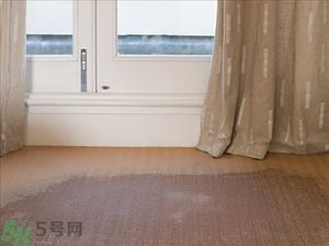 房間潮濕怎么辦？房間潮濕如何解決？