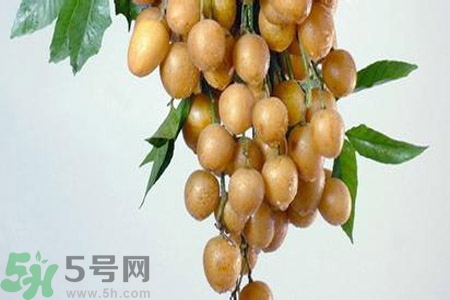 黃皮果是不是發(fā)物？黃皮果是發(fā)物嗎？