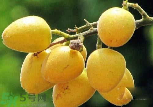 黃皮果的皮可以吃嗎？黃皮果的皮有什么作用