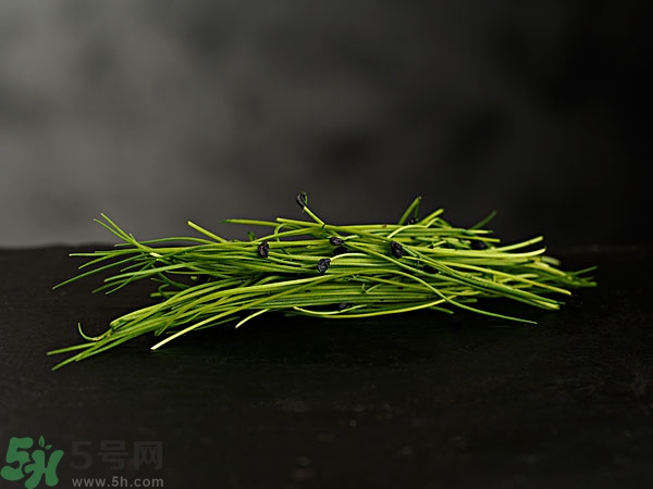 吃韭菜會燒心嗎？吃韭菜燒心怎么辦？