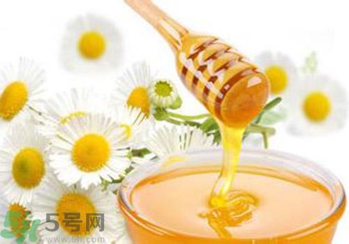 什么蜂蜜才是好蜂蜜？好壞蜂蜜的鑒別