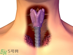 ?皰疹性咽峽炎有什么癥狀？寶寶?皰疹性咽峽炎癥狀