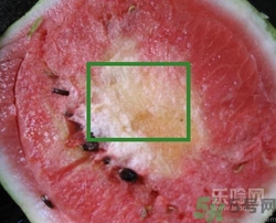 如何辨別催熟的西瓜？催熟的西瓜是什么樣的？