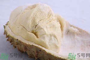 榴蓮能放冰箱嗎？榴蓮放在冰箱能保存幾天？