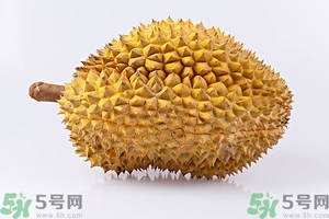 榴蓮能放冰箱嗎？榴蓮放在冰箱能保存幾天？
