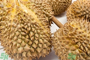 榴蓮能放冰箱嗎？榴蓮放在冰箱能保存幾天？