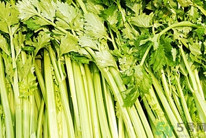 貧血能吃芹菜嗎？貧血吃芹菜好不好？