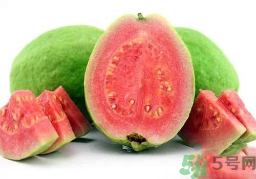 番石榴是發(fā)物嗎？番石榴是不是發(fā)物？