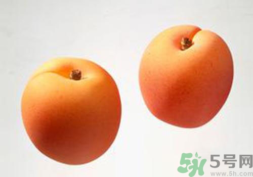 杏子是酸性還是堿性？杏子是酸性的嗎？