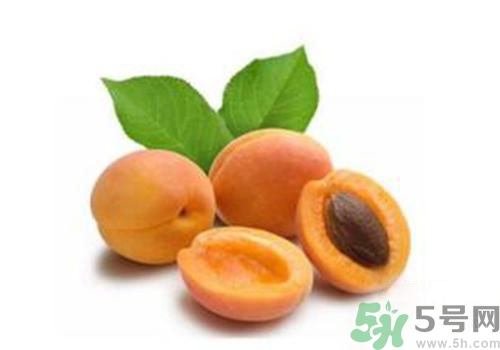 杏子上有黑點是怎么回事？杏子上有斑點可以吃嗎？