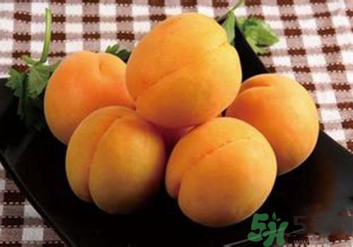 杏子皮可以吃嗎？吃杏子要剝皮嗎？