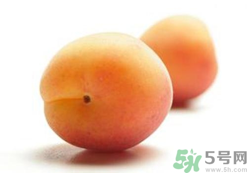 杏子有毒嗎？杏子吃了會(huì)中毒嗎？