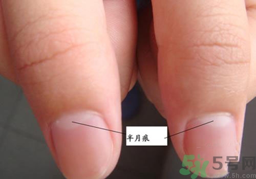 指甲沒有月牙是什么原因？指甲沒有月牙怎么調(diào)理？