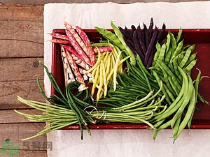 痛風(fēng)能吃豆角嗎？痛風(fēng)吃豆角行嗎？