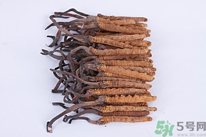 冬蟲夏草真假怎么鑒別？冬蟲夏草怎么吃效果最好？