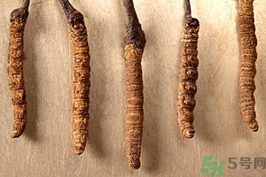 冬蟲夏草真假怎么鑒別？冬蟲夏草怎么吃效果最好？