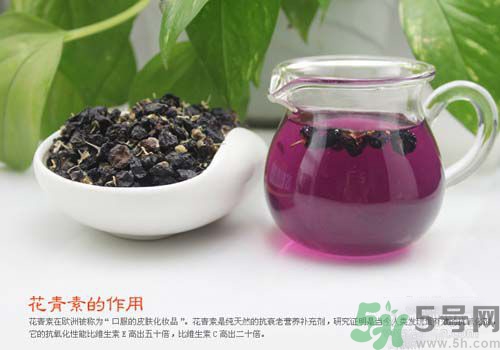 黑枸杞泡水是什么顏色？黑枸杞泡水是紫色的嗎？