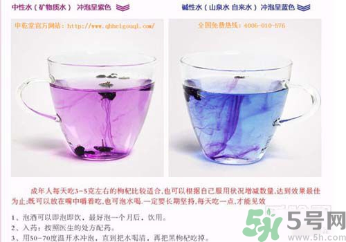 黑枸杞怎么辨別真假？怎么挑選黑枸杞？