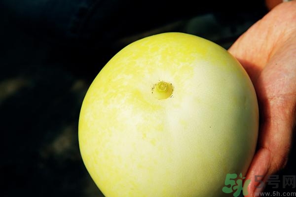香瓜有酒味能吃嗎？香瓜有酒味吃了會(huì)怎樣？