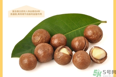 夏威夷果肉黏殼怎么辦？夏威夷果能放多久？