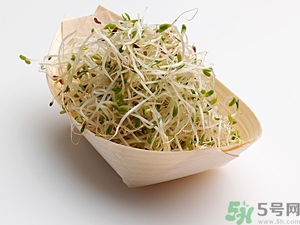 豆芽可以生吃嗎？豆芽炒粉條的家常做法