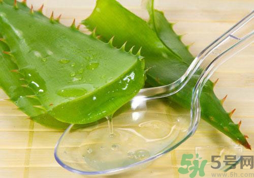 蘆薈膠要洗臉嗎？用完蘆薈膠要不要洗臉？