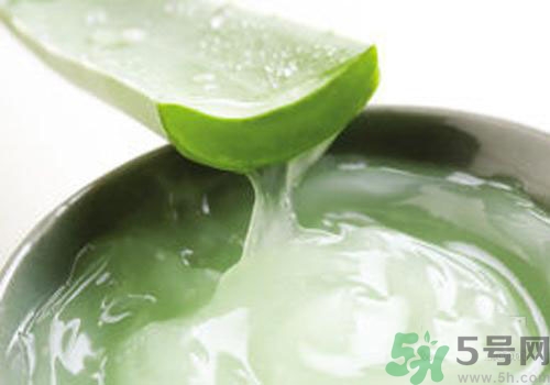 孕婦可以用蘆薈膠嗎？蘆薈膠孕婦可以用嗎？