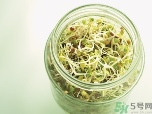 吃豆芽會(huì)胖嗎？豆芽會(huì)不會(huì)讓人長(zhǎng)胖？