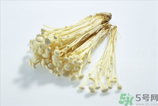 致癌金針菇怎么鑒別？如何選購金針菇？