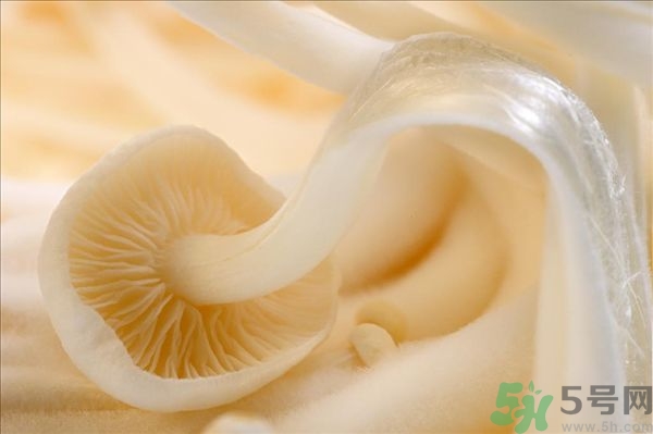 致癌金針菇怎么鑒別？如何選購(gòu)金針菇？