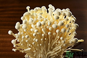 致癌金針菇怎么鑒別？如何選購金針菇？