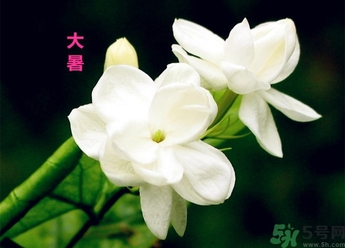 大暑是幾月幾日？大暑是什么意思？