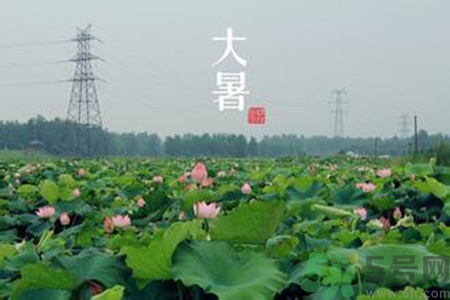 大暑吃什么養(yǎng)生？大暑吃什么好？