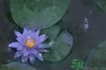 大暑吃什么養(yǎng)生？大暑吃什么好？