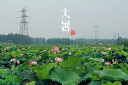 大暑吃什么水果？大暑吃什么水果養(yǎng)生？